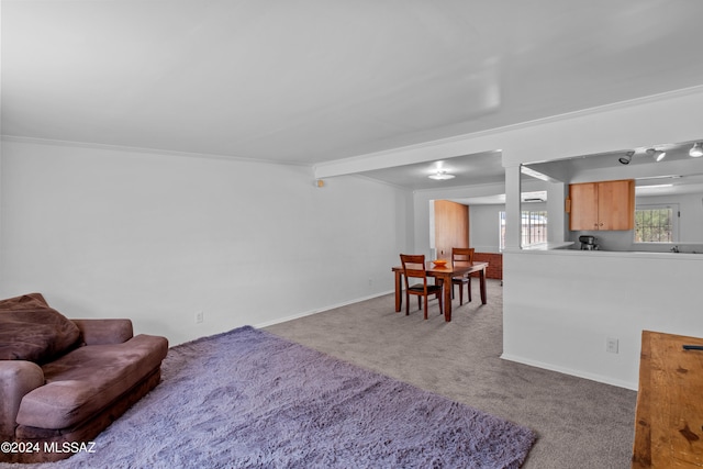 carpeted living room featuring ornamental molding