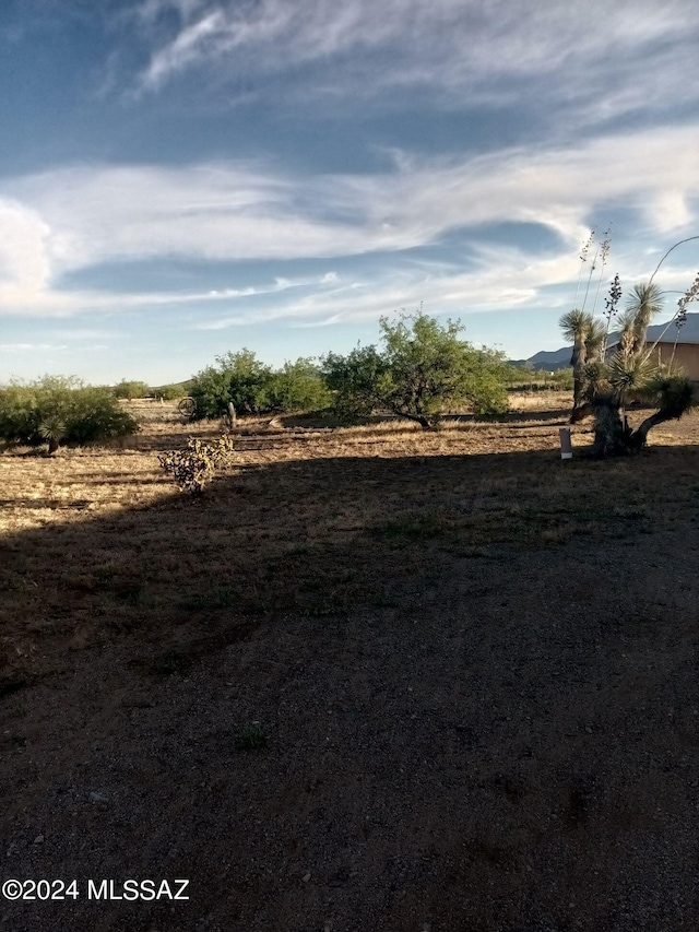 view of yard featuring a rural view