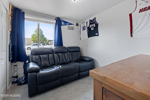 living room featuring light colored carpet