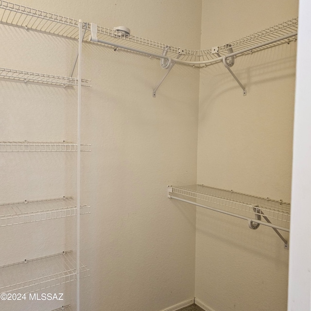 view of spacious closet