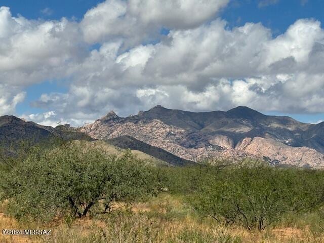 TBD Hagen St Unit 12/13, Pearce AZ, 85625 land for sale