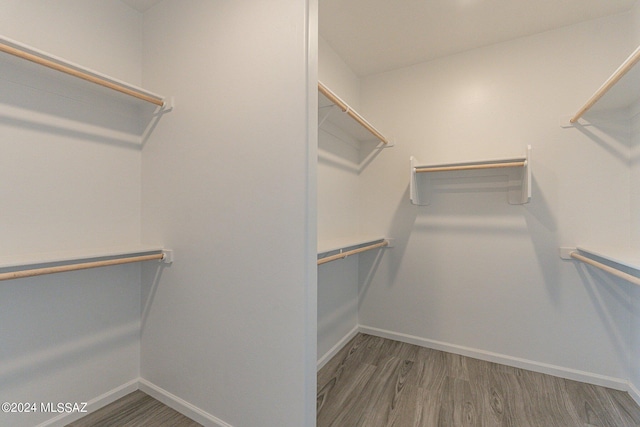 walk in closet with wood-type flooring