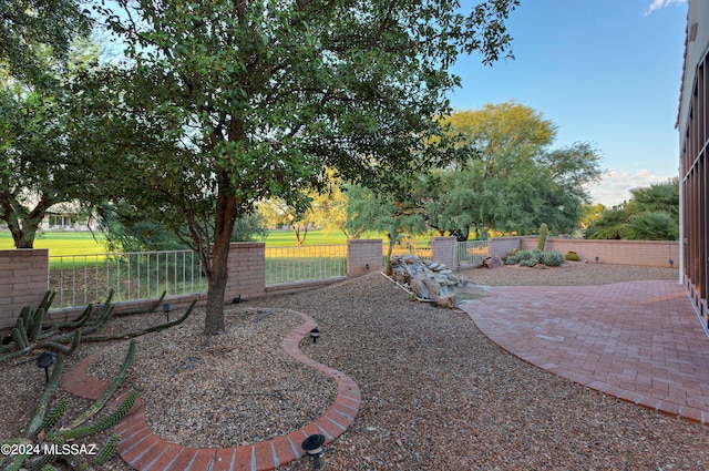 view of yard featuring a patio area