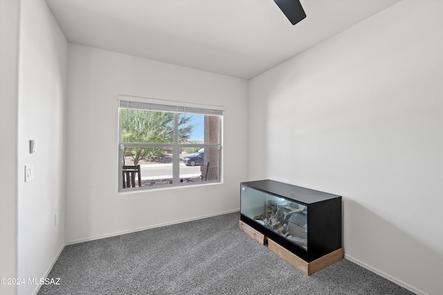 empty room featuring dark colored carpet