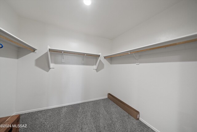 spacious closet featuring dark carpet