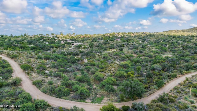 3.81ACRES Bachman Wash Rd, Oracle, AZ 85623