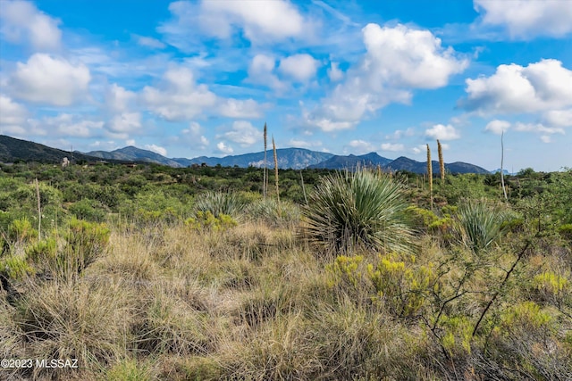 3.81ACRES Bachman Wash Rd, Oracle, AZ 85623