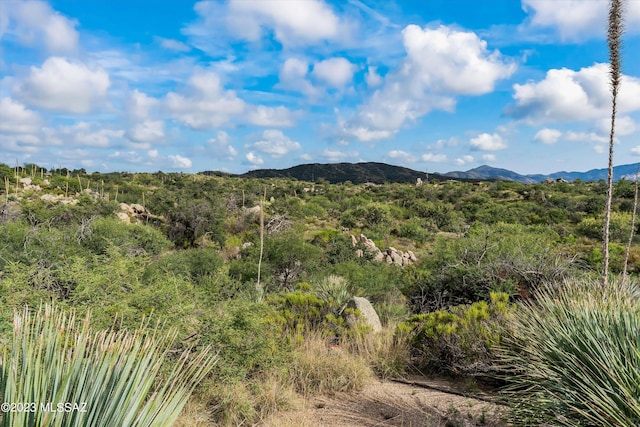3.81ACRES Bachman Wash Rd, Oracle, AZ 85623
