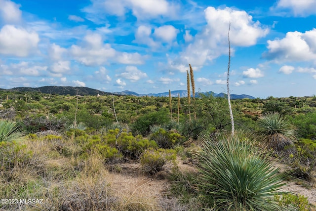 3.81ACRES Bachman Wash Rd, Oracle, AZ 85623