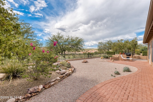 view of yard featuring a patio