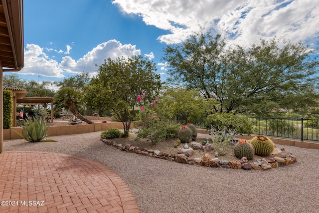 view of yard with a patio area