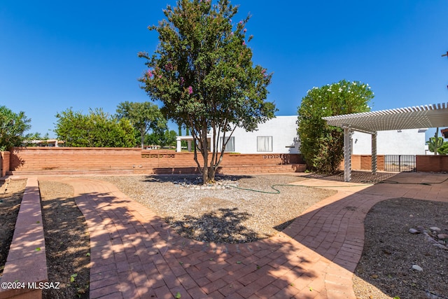 view of yard with a patio area