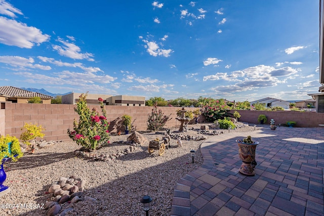 view of yard with a patio