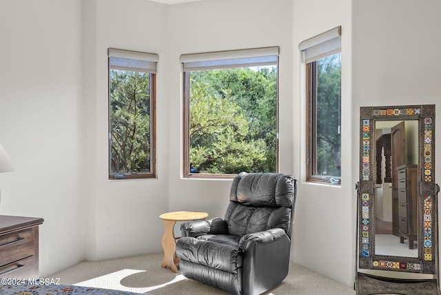 living area with light carpet