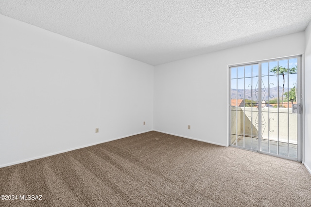 empty room with carpet and a textured ceiling