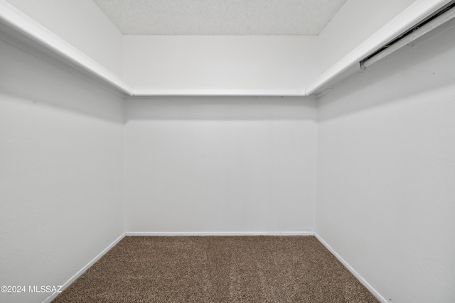 walk in closet with carpet floors