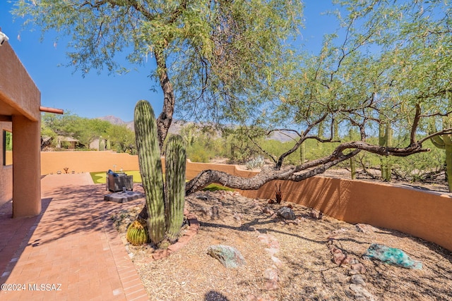 view of yard featuring a patio area