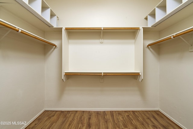 walk in closet featuring dark wood-type flooring