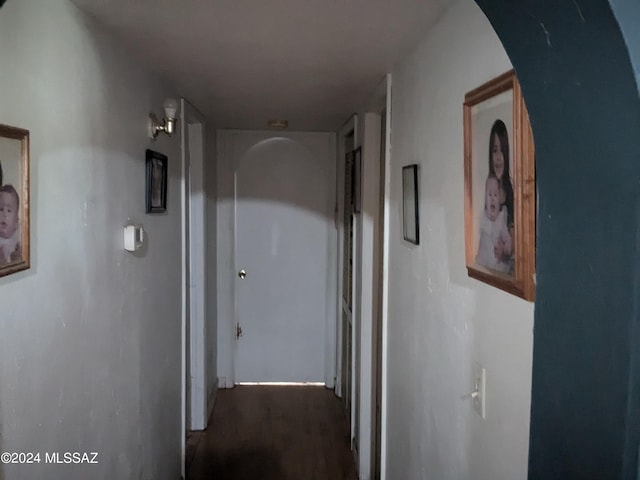 hallway featuring dark hardwood / wood-style flooring