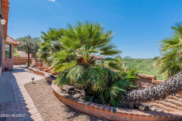 view of yard with a patio