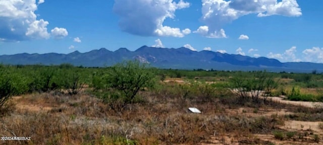 TBD Highway 191, Elfrida AZ, 85610 land for sale