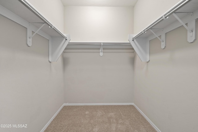 spacious closet with carpet