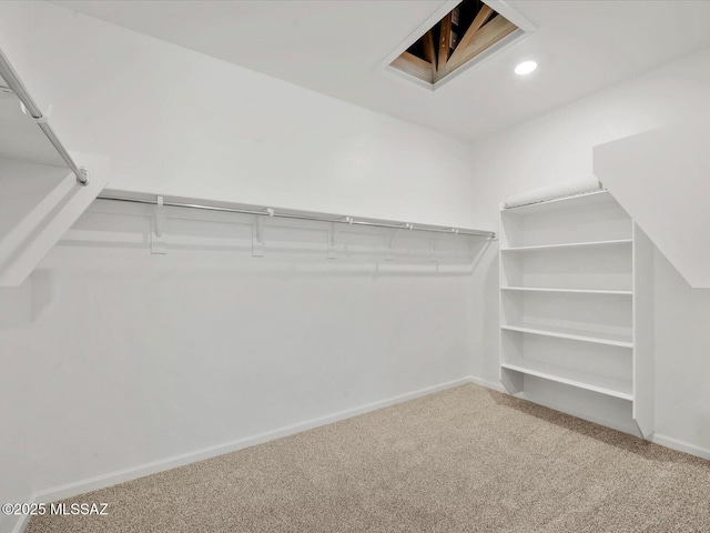 spacious closet with carpet floors