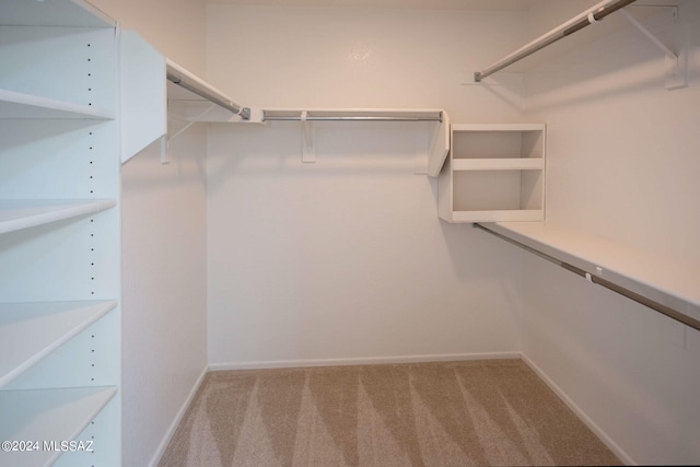 spacious closet with light carpet