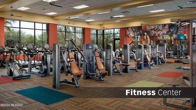 exercise room featuring carpet floors and a drop ceiling