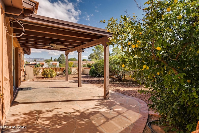 view of patio / terrace featuring ceiling fan