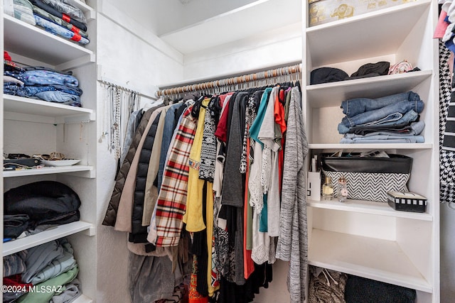 view of spacious closet