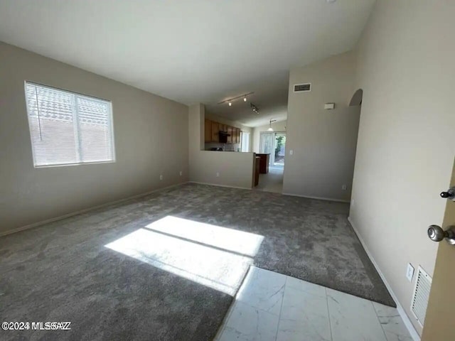 unfurnished living room featuring lofted ceiling, a healthy amount of sunlight, and light colored carpet