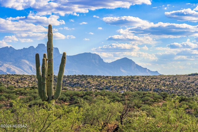 16500 N Ridge Rock Trl, Tucson, AZ 85739