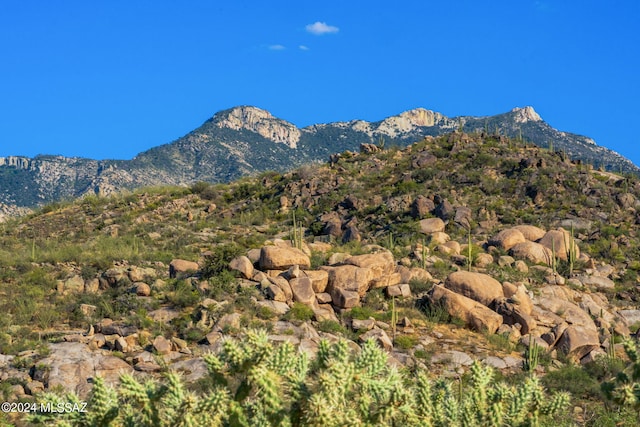 16500 N Ridge Rock Trl, Tucson, AZ 85739