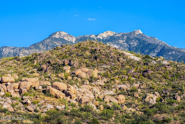 16500 N Ridge Rock Trl, Tucson, AZ 85739
