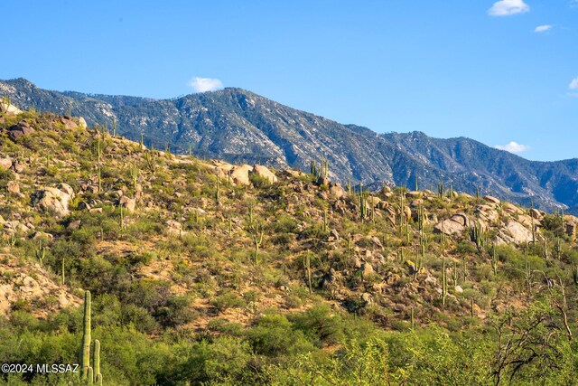 16500 N Ridge Rock Trl, Tucson, AZ 85739