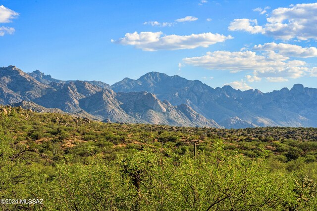 16500 N Ridge Rock Trl, Tucson, AZ 85739
