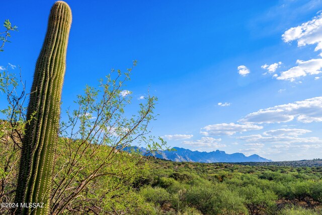 16500 N Ridge Rock Trl, Tucson, AZ 85739