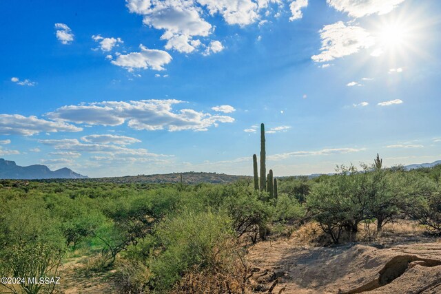 16500 N Ridge Rock Trl, Tucson, AZ 85739