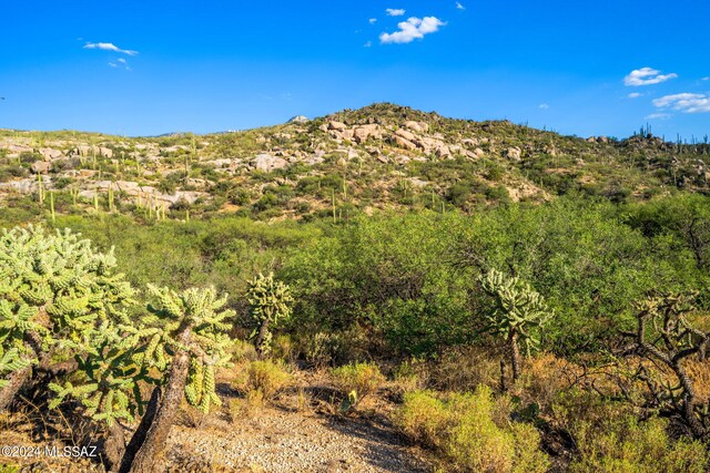 16500 N Ridge Rock Trl, Tucson, AZ 85739
