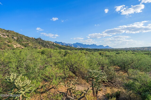 16500 N Ridge Rock Trl, Tucson, AZ 85739