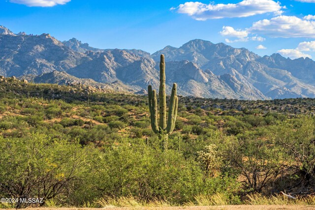 16500 N Ridge Rock Trl, Tucson, AZ 85739