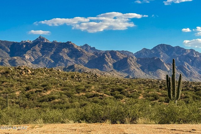 16500 N Ridge Rock Trl, Tucson, AZ 85739