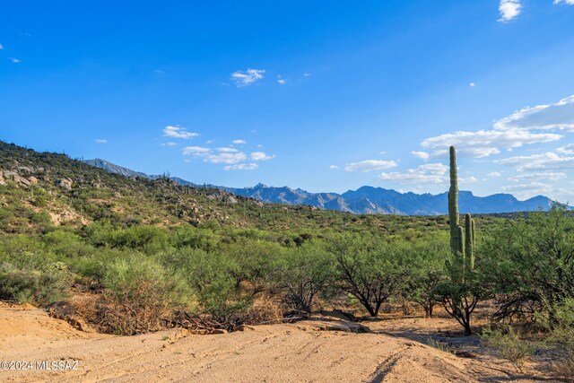 16500 N Ridge Rock Trl, Tucson, AZ 85739