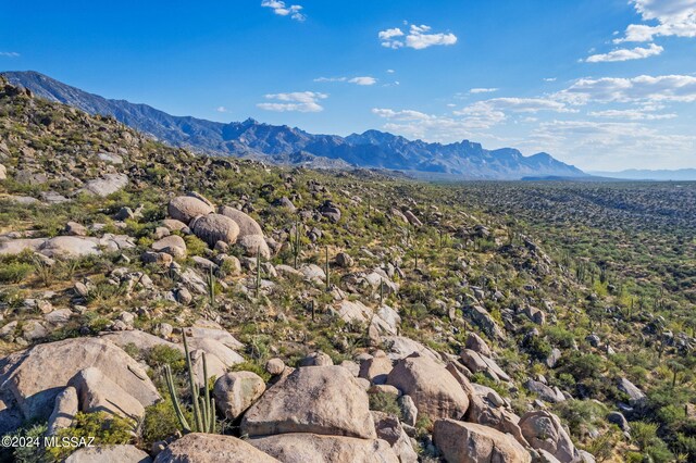 16500 N Ridge Rock Trl, Tucson, AZ 85739