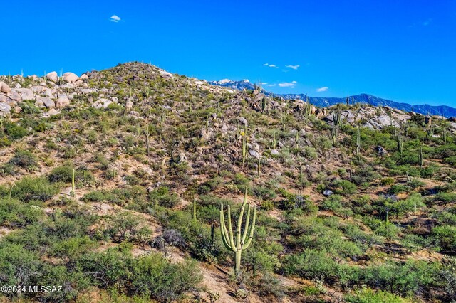 16500 N Ridge Rock Trl, Tucson, AZ 85739
