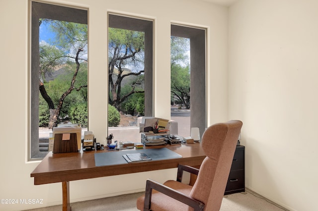 view of carpeted office space