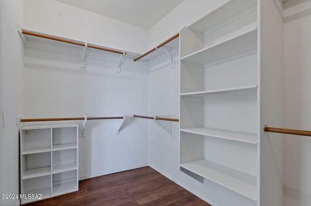 spacious closet with dark wood finished floors