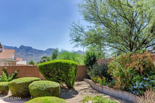 view of yard featuring a mountain view