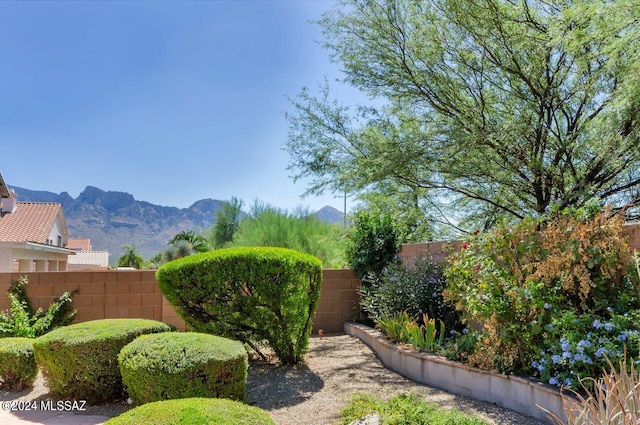 view of yard with a fenced backyard and a mountain view